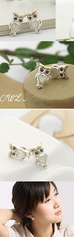[cute owl[2].jpg]