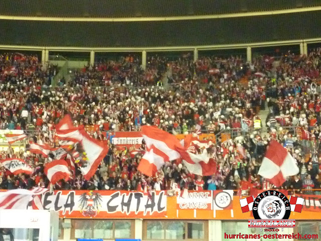 Österreich - Belgien, 25.3.2011, Wiener Ernst-Happel-Stadion, 11.jpg