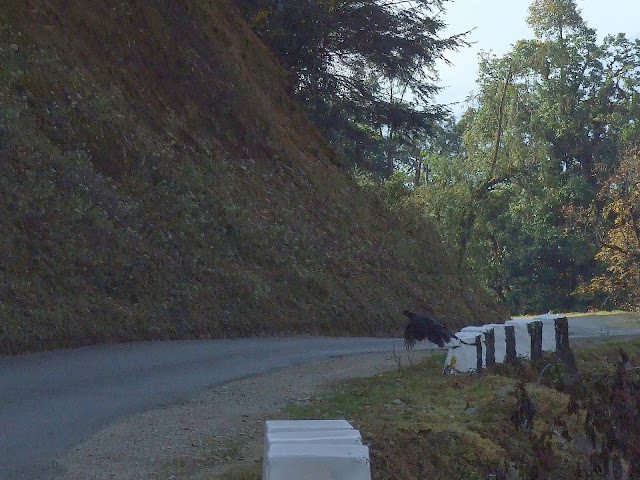 9 дней в Королевстве Громового Дракона, ноябрь 2009 (фото)