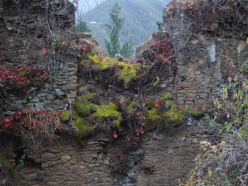 9 дней в Королевстве Громового Дракона, ноябрь 2009 (фото)