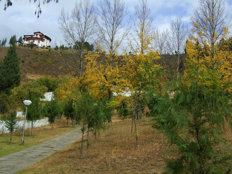9 дней в Королевстве Громового Дракона, ноябрь 2009 (фото)