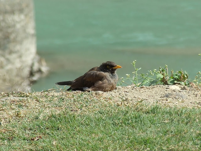 9 дней в Королевстве Громового Дракона, ноябрь 2009 (фото)