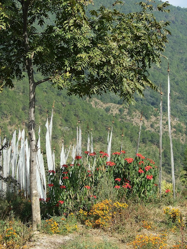 9 дней в Королевстве Громового Дракона, ноябрь 2009 (фото)