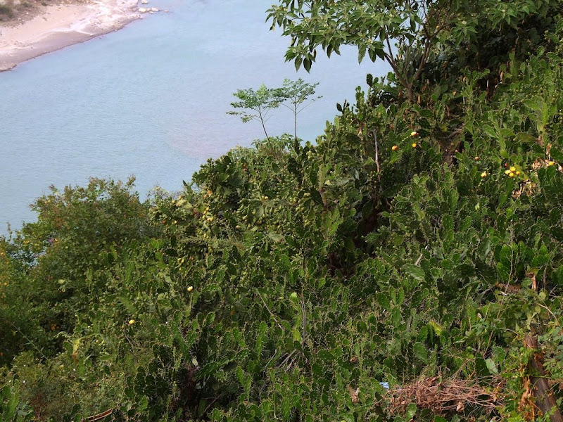 9 дней в Королевстве Громового Дракона, ноябрь 2009 (фото)