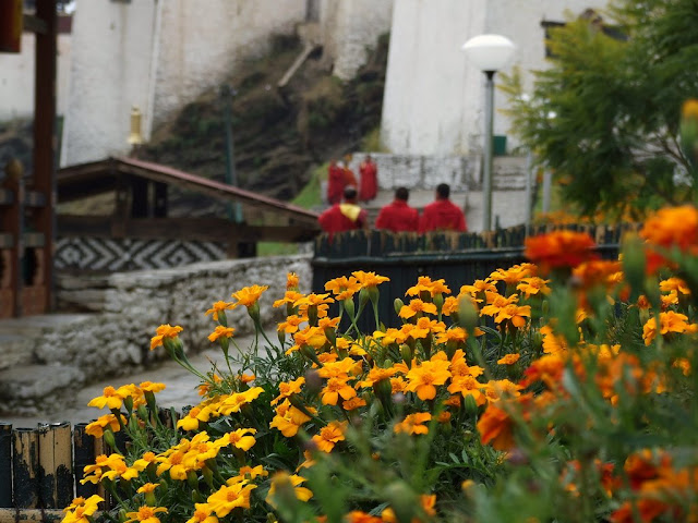 9 дней в Королевстве Громового Дракона, ноябрь 2009 (фото)