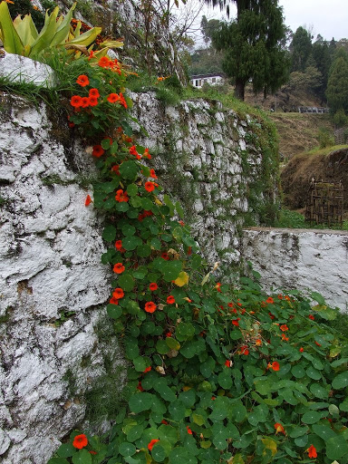 9 дней в Королевстве Громового Дракона, ноябрь 2009 (фото)