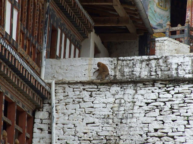 9 дней в Королевстве Громового Дракона, ноябрь 2009 (фото)