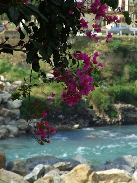 9 дней в Королевстве Громового Дракона, ноябрь 2009 (фото)