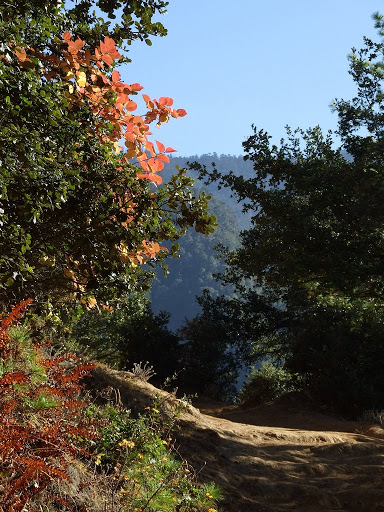 9 дней в Королевстве Громового Дракона, ноябрь 2009 (фото)