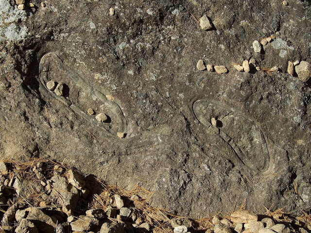 9 дней в Королевстве Громового Дракона, ноябрь 2009 (фото)