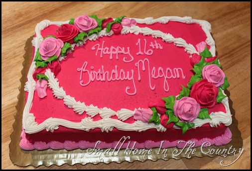 Megans 16th Birthday Party 090