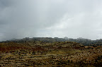 DSC_5216.NEF