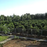 hort6.jpg