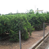 cimg0231.jpg
