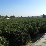 cimg0012.jpg