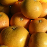 pomelos1.jpg