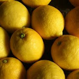 limones1.jpg