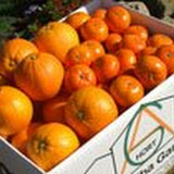 naranjas-mandarinas.jpg