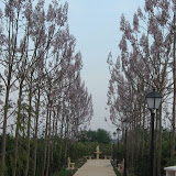 cimg0200.jpg
