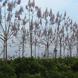 cimg0206.jpg