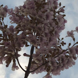cimg0209.jpg