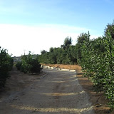 cimg0721.jpg