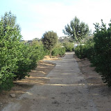 cimg0722.jpg