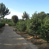 cimg0723.jpg