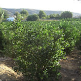 cimg0731.jpg