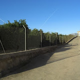 cimg0736.jpg