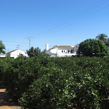 cimg0746.jpg