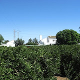 cimg0748.jpg