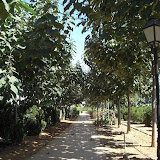 cimg0752.jpg