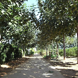 cimg0767.jpg