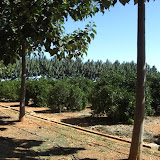 cimg0768.jpg