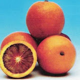 naranjas5.jpg