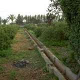 regadio2.jpg