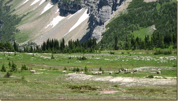 2010-07-28 -1- MT, Glacier National Park - Hiking the Hidden Lake Trail 1024