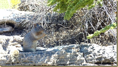 2010-09-24 - AZ, Montezuma's Well -  1008