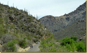 2011-04-23 - AZ, Tucson, Sabino Canyon National Recreation Area with Emily (38)