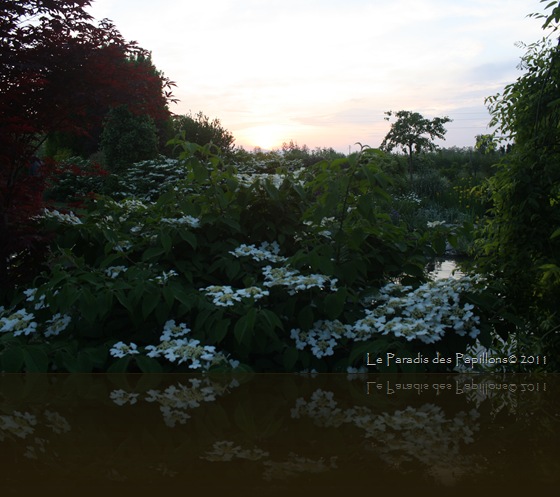 IMG_4476 IMG_4476