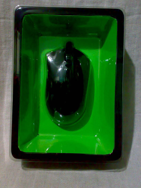 20100121381.jpg