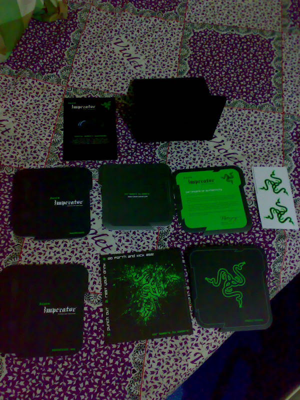 20100121383.jpg