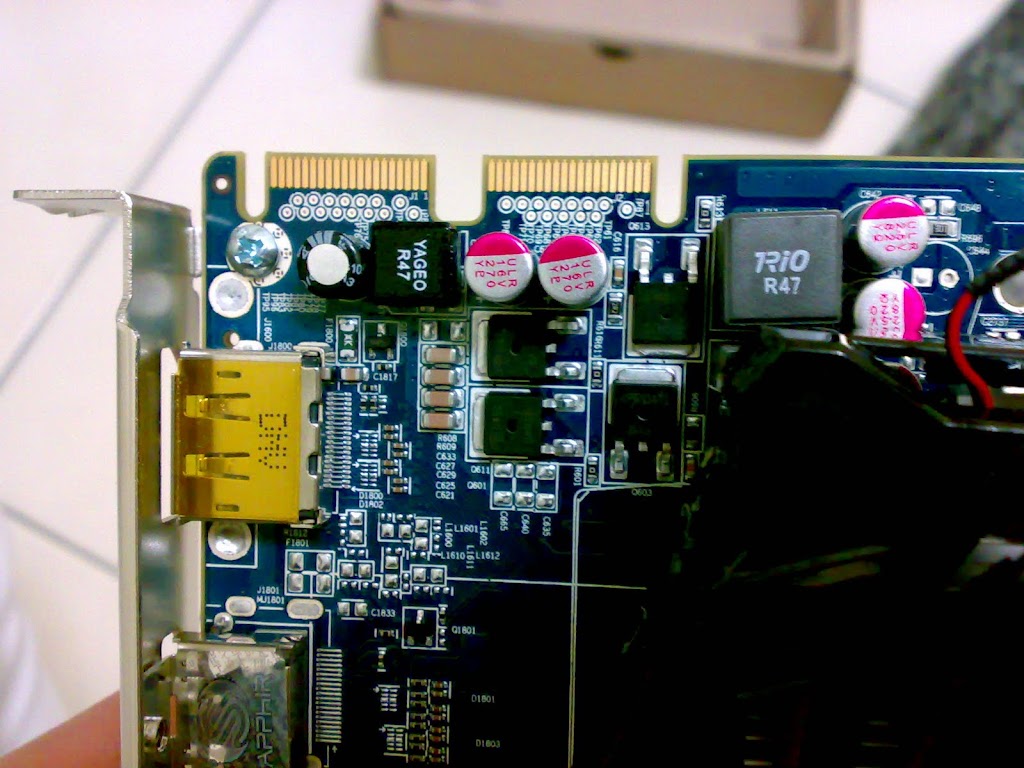 20100224441.jpg