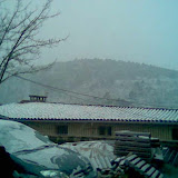 2008 Invierno