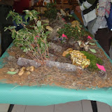 I Jornadas Micologicas de Valsalobre &ndash; 