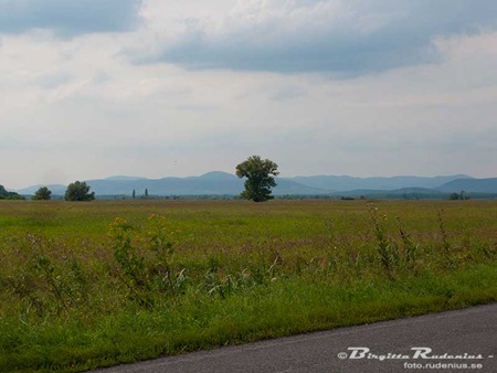 [tokaj_20100730_G9_berg_karpaterna[2].jpg]