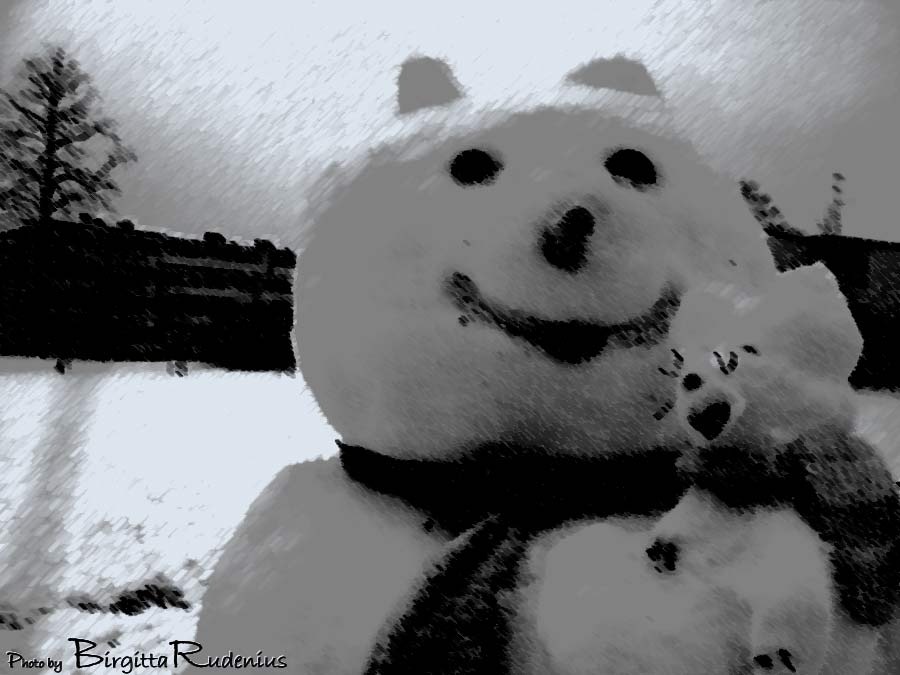 [photomania_20101209_snowman[2].jpg]