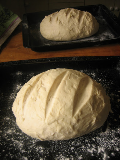 Tammi's bread proving