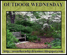 [Outdoor_Wednesday_logo[2].png]